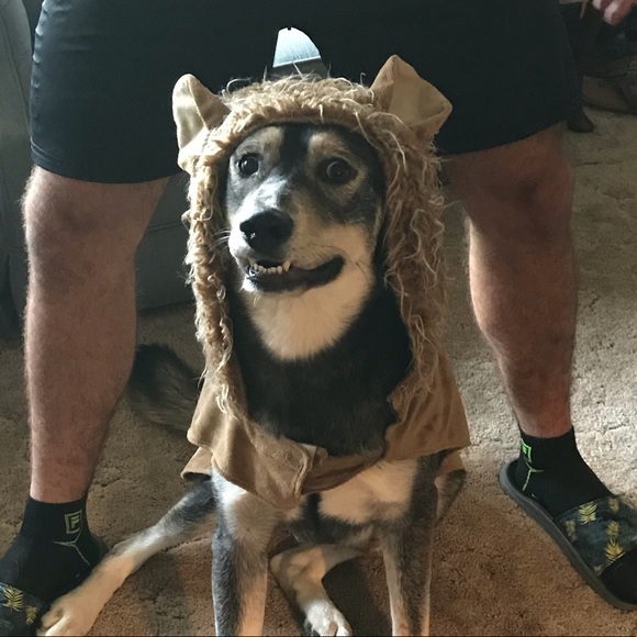 Meet your Posher, Tyler - Picture 1 of 1